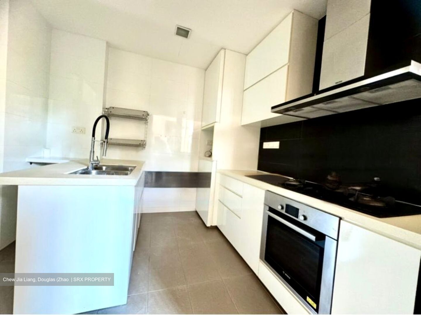 Dover Parkview (D5), Condominium #508794501